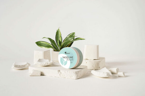 VASELIX VASELINE Salicylee 10% 50G